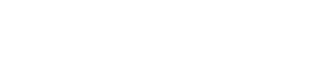 bonfida sns partner